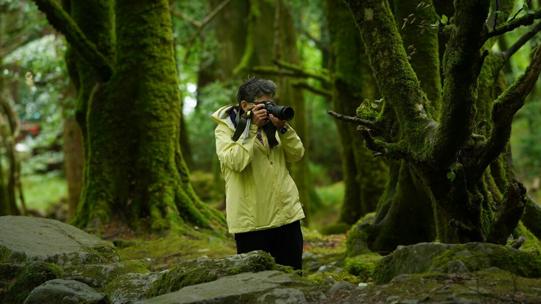 environmental investigation in nature